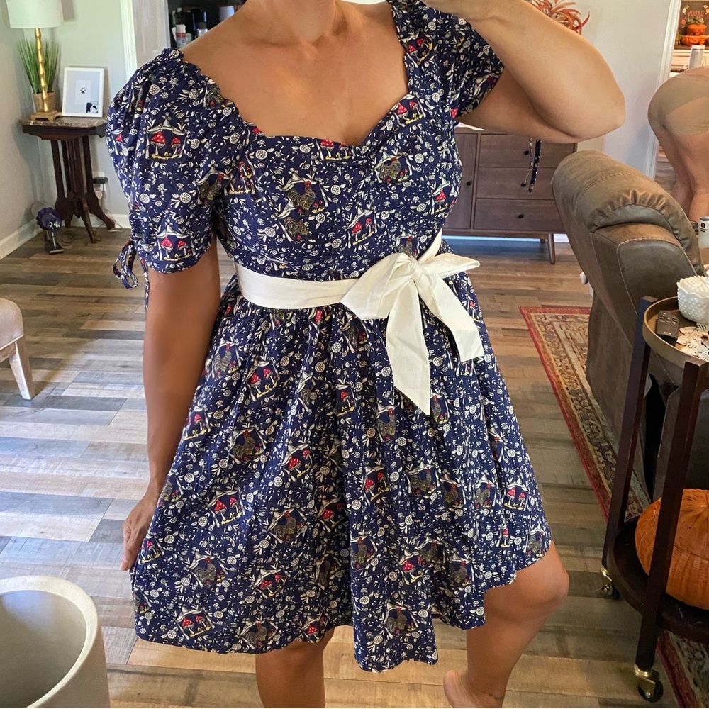 Unique Vintage retro rooster mushroom dress. XL